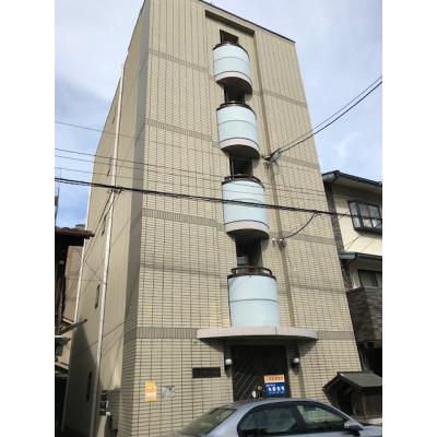 ����ʪ�����