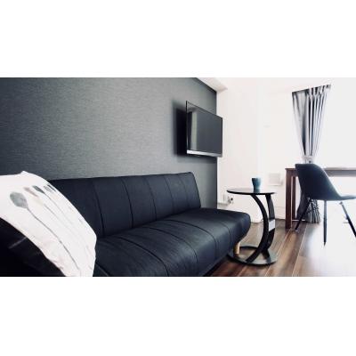 ☆S-FITステイ池上【プレミアムシリーズ】室内設備充実・希少なペット可♪☆の物件画像