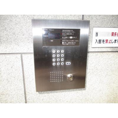 ڥ꡼ɥޥ󥹥꡼īץ饶̾Ųߥʥ륹̾8ʬΩϡۥȥåͭǥƥ¿ʪ