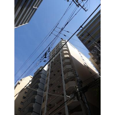 OneLife奷ڢ⸫زġʢˤꡢ̡ˡȥå2աۤʪ
