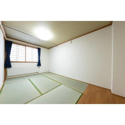 🌸Dޥ󥹥꡼Hongo-11(B)🌸ܱضᡪǥʡ۴ѸĥǤΤѤ˥Ǥ❗️ʪ