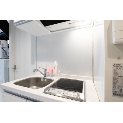 サンシャイン池袋も徒歩圏内/広々メゾネットタイプ/家具・家電完備/ラルーナ東池袋502の物件画像