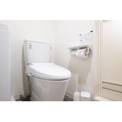 サンシャイン池袋も徒歩圏内/広々メゾネットタイプ/家具・家電完備/ラルーナ東池袋502の物件画像