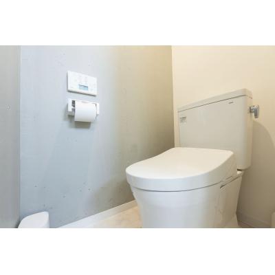 新築の綺麗な物件♪/両国エリア徒歩圏内/観光地アクセス良好/FELICE森下402の物件画像