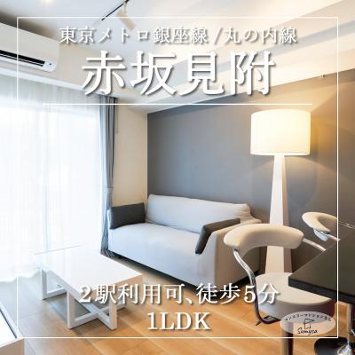赤坂見附駅徒歩6分　築浅1LDKマンション　　1~2人の滞在にオススメ/クレアツィオーネ赤坂402の物件画像