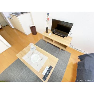 ユニオンマンスリー稲城フェリーチェ１　111　1R・シングル☆【禁煙ルーム】冷蔵庫や電子レンジなど生活家電完備♪ローテーブル・ソファのあるお部屋/京王相模原線利の物件画像