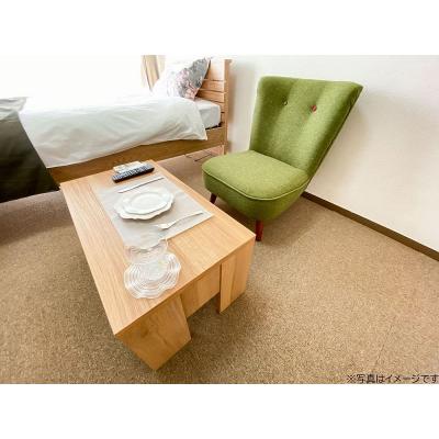 ●2026年2月10日から入居可●ユニオンマンスリー京王稲田堤３　206　1R・シングル☆【禁煙ルーム】ローテーブル・ソファのあるお部屋♪洗濯機や掃除機など生活家電完備の物件画像