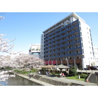アパマートマンスリー富山駅南 桜木町 Wi-Fi無料 1LDK (ec)の物件画像