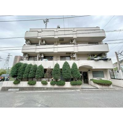 🌿Ŭΰۤ祭ڡ🏡🌈ۡڶر🚭ۥޥʥSTAYѥ쥹ɴ֡401ʪ