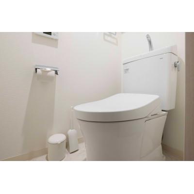 人気の池袋エリア/便利な山手線沿線/駅徒歩7分/ウェルスクエアイズム池袋イースト403の物件画像