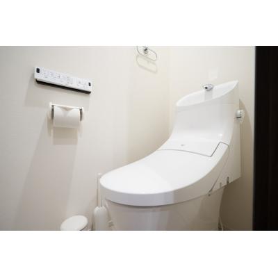 オシャレなデザイナーズ物件♪／Wi-Fi完備／家具家電・備品完備／Ruygo新宿西落合102の物件画像