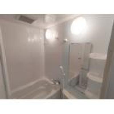 【🎍年末年始大感謝祭🎍】【禁煙🚭/Wi-Fi無料🌐】マイナビSTAY本町公園　407の物件画像