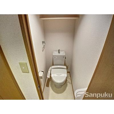 ӥޥ󥹥꡼糹ƻڥͥå̵ȥåBOXͭץ糹ƻС־ͭۤʪ