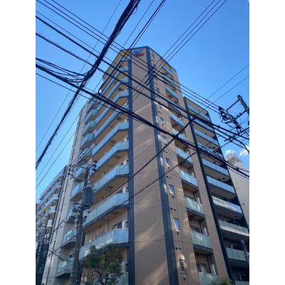 OneLifeĥ饦ɥѥ쥹ڢر롼ͭΩ桢Ἴ絡ۤʪ