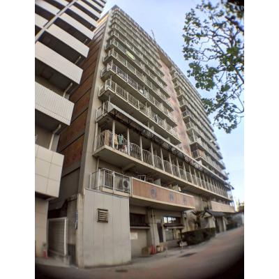 即入居可能🐬BraTTo月島カーサ【今スグ入居可能！🥰】防犯設備完備で住環境良好なお部屋👍の物件画像