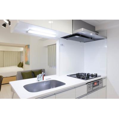 両国駅から徒歩9分！/交通アクセス良し/白基調の綺麗な内装/Noble Park RYOGOKU 201の物件画像