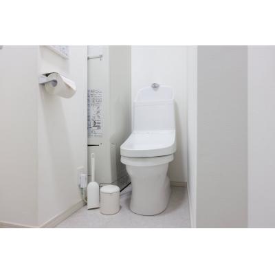 白基調のすっきりしたお部屋/都心へのアクセスも良く、周辺環境も充実！/リアライズ西小山 102の物件画像