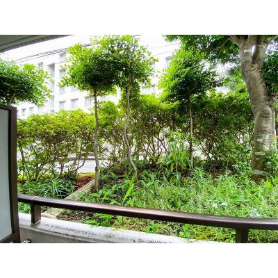 ユニオンマンスリー百合ヶ丘３　410　1R・シングル☆◆インターネット固定回線（有線・Wi-Fi）無料の部屋◆【禁煙ルーム】人気の角部屋♪ローテーブル・ソファーのあるお部屋の物件画像