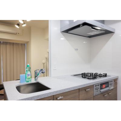 2025年築/広々2LDK/エレベーター完備/防犯もバッチリ/家具家電付き/アーバネックス錦糸町NORTH 903の物件画像