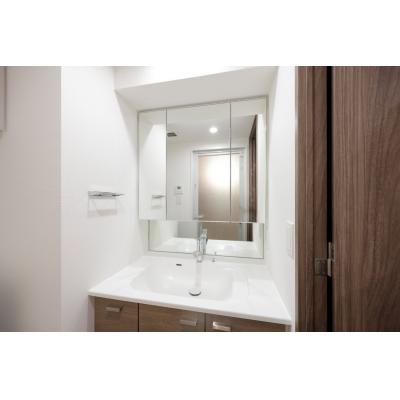 2025年築/広々2LDK/エレベーター完備/防犯もバッチリ/家具家電付き/アーバネックス錦糸町NORTH 903の物件画像