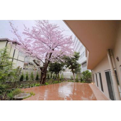 【渋谷・横浜直通】サウナ・テラス付きカフェ併設のおしゃれなデザイナーズマンスリー［goodroom residence 学芸大学］（312）の物件画像