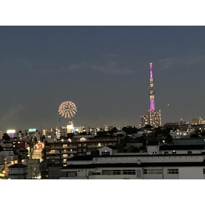 エール谷根千　東京駅・電車で13分★超都心に下町風情の人気エリア★高層最上階・眺望・夜景も絶好の物件画像
