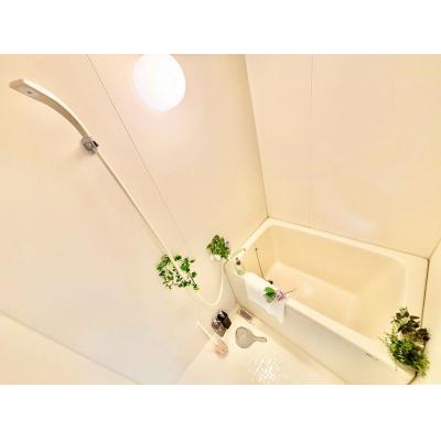 【三重県四日市市/近鉄四日市駅/角部屋/バストイレ別・独立洗面台】コーポヤマイチ 204号室 ファミマンの物件画像