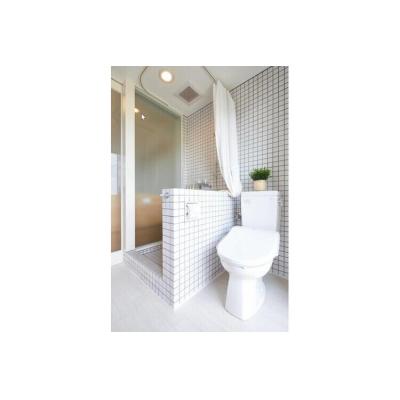 Ｅ－ｈｏｒｉｚｏｎ　Ｒｅｓｏｒｔ　コンドミニアム瀬底の物件写真4