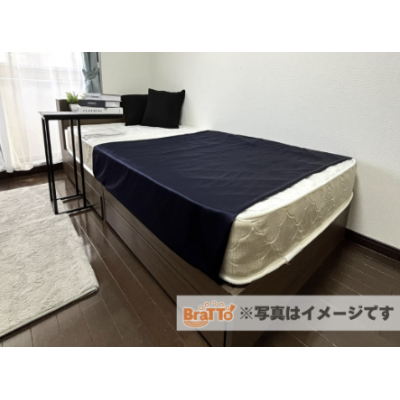 BraTTo後楽園第5【オートロックなどの防犯設備完備で禁煙タイプのお部屋👍】の物件画像