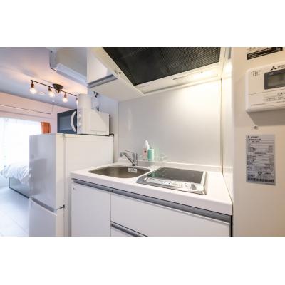 サンシャイン池袋も徒歩圏内/家具・家電完備/ラルーナ東池袋402の物件画像