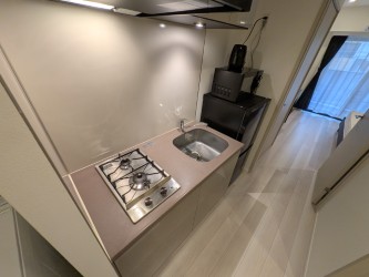 マンスリーリブマックス伊勢町もくせい公園前◆『禁煙ルーム・Wi-Fi無制限』【独立洗面台・浴室乾燥付】≪エクセレントシリーズ≫の物件画像