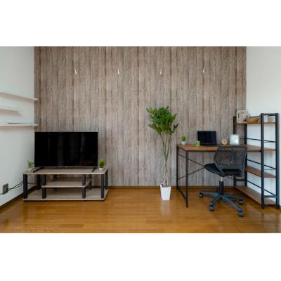 人気の国母エリア！家具家電Wifi駐車場付き！TM51の物件画像