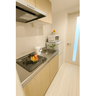 ✳️ハピタンマンスリーさいたま市北区✨新築✨オートロック✨独立洗面台✨ティエラ大宮日進町✳️の物件画像