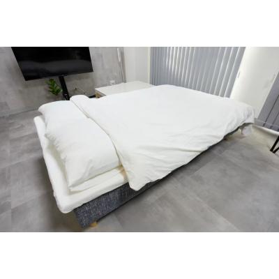 【大阪城公園3分】和室が特徴！出張・長期滞在に丨エクセレンス大阪城公園301(禁煙)(3)の物件画像