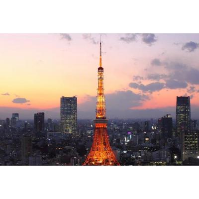 【東麻布】赤羽橋2分◎都会的空間・無料ネット完備丨Fleg Higashi Azabu1 Bedroom（1LDK）(5)の物件画像