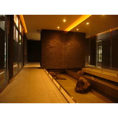 【虎ノ門7分】ビジネス拠点◎Wi-Fi無料丨SLマンスリー新橋虎ノ門1K（禁煙）(5)の物件画像