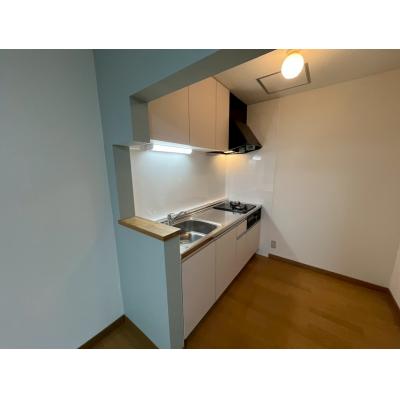 POROKARI南郷18丁目北B/エアコン/セミダブルの物件画像