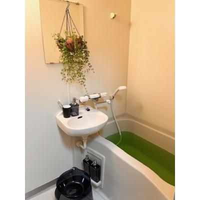 🌈新規オープンにつき表示賃料から半額！（12月末まで）🌈　🚃JR香椎駅から徒歩７分🚃　💻無料Wi-Fi💻　🔒高セキュリティ🔒　イージーステイ香椎５の物件画像