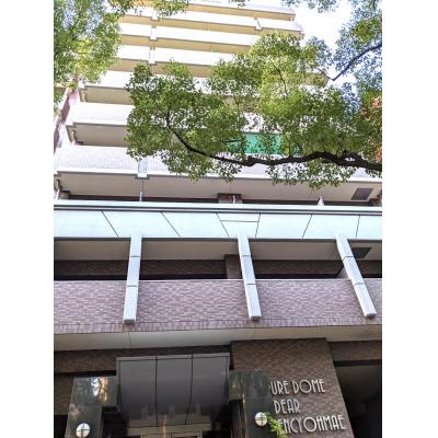 【ピュアドームディア県庁前★地下鉄「千代県庁口」徒歩3分★福岡市民会館　徒歩3分★の物件画像