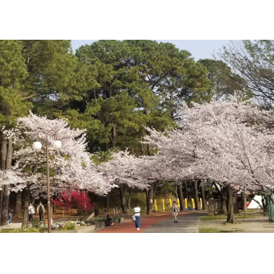 【オレンジマンスリー博多駅東】♪新規OPEN♪ちょうどいい広さで人気の1LDK/禁煙ルーム/Wi-Fi無料の物件画像