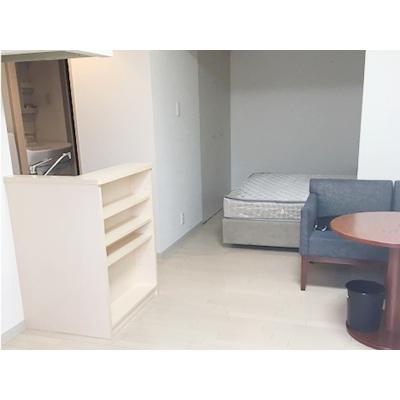 OneLife札幌ハーベスト【★独立洗面台、洗浄機付便座《1DKの広々空間！》】の物件画像