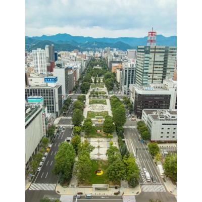 【新規OPEN】COSOJIマンスリー スイーズS4｜ネット無料★大通りすすきの徒歩圏内★バス・トイレ別の物件画像