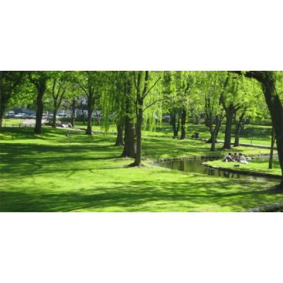 【新規OPEN】COSOJIマンスリーあおばビルN25｜ネット無料★最上階眺望★北大近く★アクセス◎の物件画像