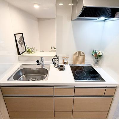 【2026年3月5日～2026年3月24日の間でご入居可能な方限定】アットイン池袋16-1の物件画像