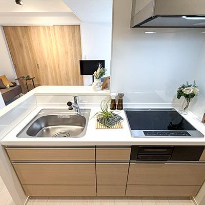 【2026年3月5日～2026年3月24日の間でご入居可能な方限定】アットイン池袋16-3の物件画像