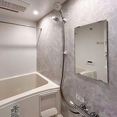 【満室】アットイン渋谷9-2の物件画像