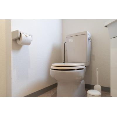 大久保駅から徒歩2分！新大久保駅から徒歩5分！飲食店多数/wi-fi完備/シャルマンやよい 305の物件画像
