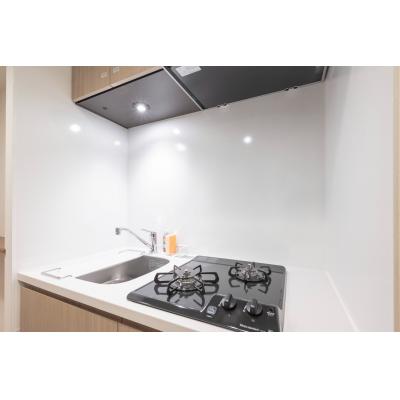 浅草駅から徒歩9分/大きな窓のある明るいお部屋/ディアレイシャス本所吾妻橋II 602の物件画像