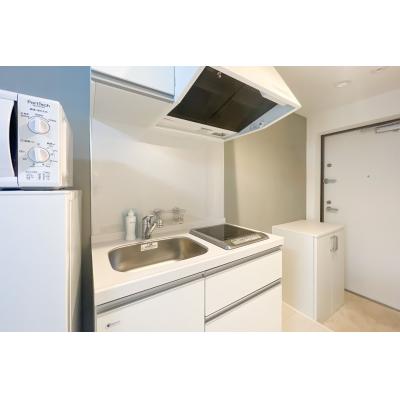 サンシャイン池袋も徒歩圏内/広々メゾネットタイプ/家具・家電完備/ラルーナ東池袋 201の物件画像