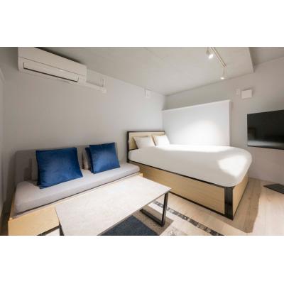 スカイツリー浅草エリア近く/最大5人収容可能/ロフトあり/レピュア曳舟レジデンスII102の物件画像